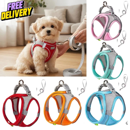 Reflective dog puppy pet - reflective,
