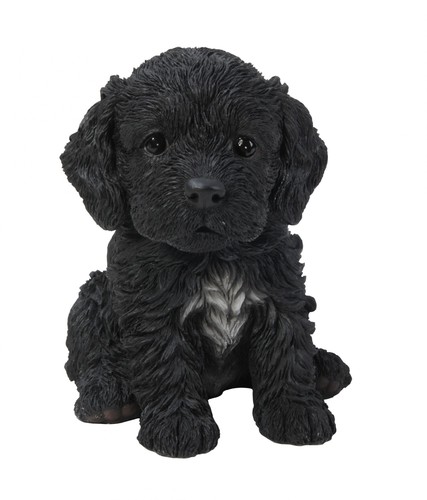 Vivid arts black cockapoo - vivid,