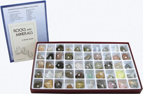 Large specimens superior - large,