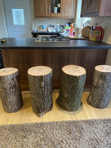 Bar stool tree - bar,