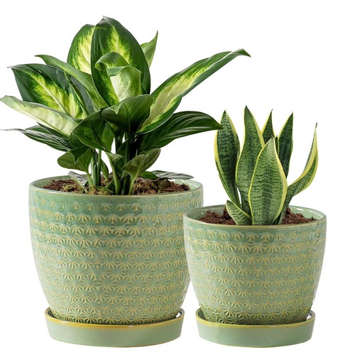 Indoor plant pots - pots, with