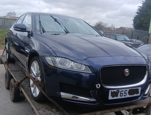 Jaguar portfolio dark - portfolio,
