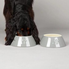 Long Eared Dog Bowl Food &