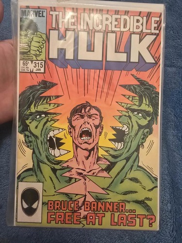The incredible hulk 315 - the, #315