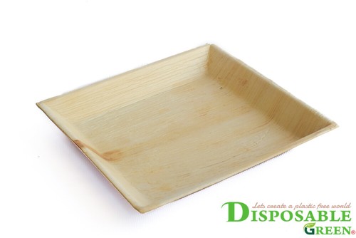 27cm square palm leaf plates - palm,