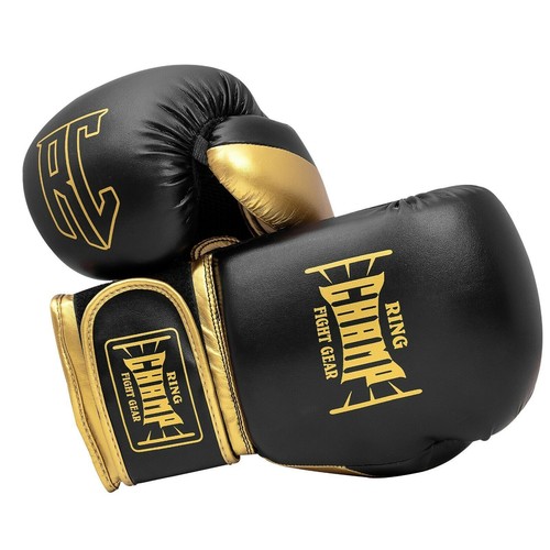 Boxing gloves training mitt - gloves,