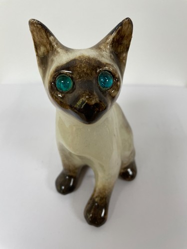 Winstanley siamese cat - siamese, sitting