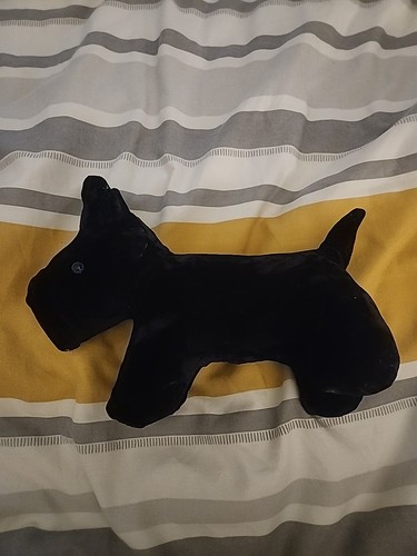 Black scottie dog - velvet, teddy