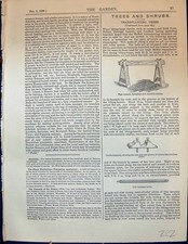 Old Garden 1878 Transplanting Trees High Tressels Movable Cradles Win 19th