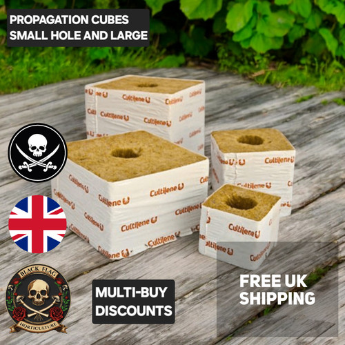 Cultiwool rockwool cubes - cubes, 3"