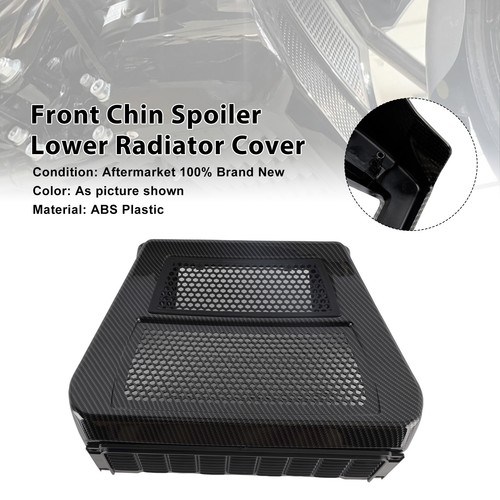 Lower chin spoilers - lower, radiator