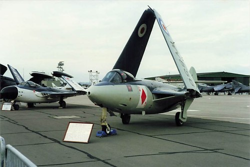 Photo hawker sea - hawk, somerset