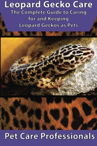 Leopard gecko care the - leopard,