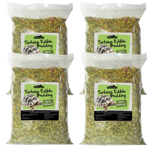 Reptile world tortoise edible - tortoise,