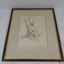 Hare Original  Painting Picture Signed Framed Hare Picture