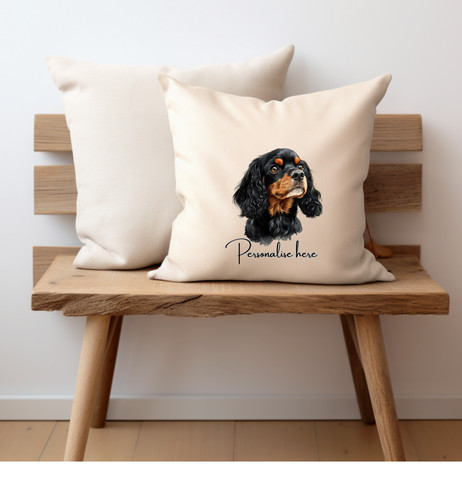 Black and tan cavalier - and,
