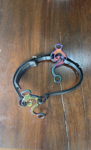 Beautiful hackamore with - hackamore,