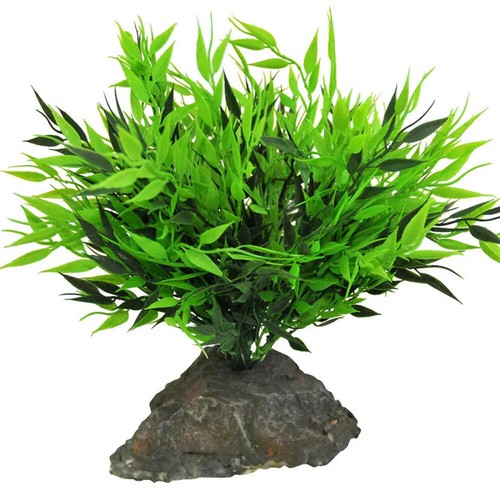 Lucky reptile bamboo tuft - lucky,