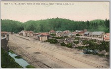 Raurimu Foot of the Spiral Main Trunk Line New Zealand c1910s Postcard H75