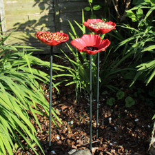 Set of 3 Poppy Wild Bird
