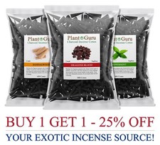 400 Jumbo Charcoal Incense