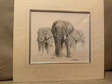 Full Set Of 5 x Signed Limited Edition Pencil Drawings By David Shepherd