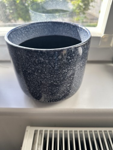 Ceramic blue plant - plant, pot
