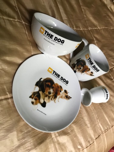 The dog gift - dog,