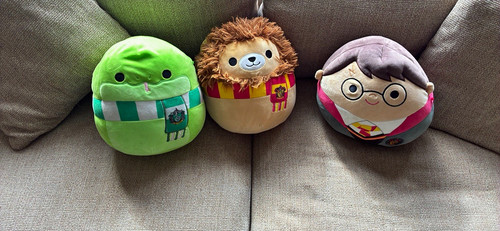 Squishmallows harry potter - harry,