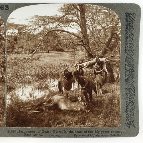 East african indigenous - african,