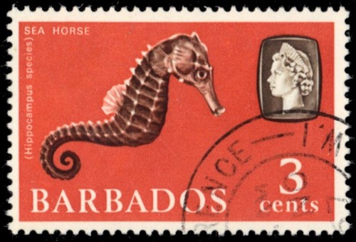 Barbados 269a marine - barbados, (sg344)
