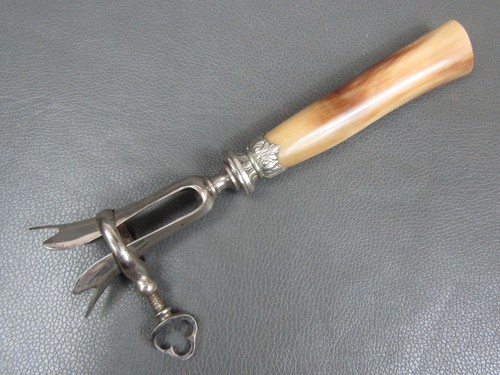 Antique french lamb bone - lamb,