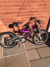 Raleigh Max Mountain Bike 