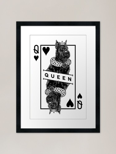 Giant schnauzer queen - giant,