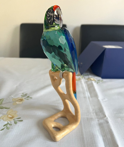 Macaw beautiful piece boxed - ,,