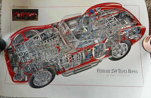 Genuine ferrari 250 testa - ferrari,