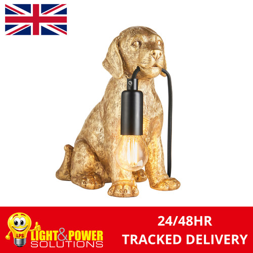 Gold labrador puppy - gold, dog