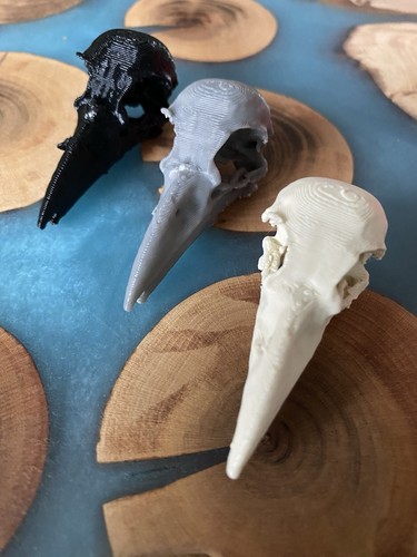 Mini raven skull - mini, gothic