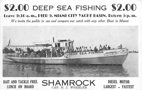Postcard 1930s florida - postcard,