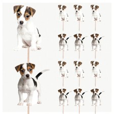 Jack Russell Puppies Cupcake & Party Food Toppers Decorations Picks 14 Pack