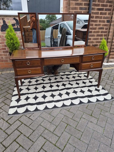 Vintage stag minstrel mahogany - minstrel,