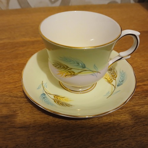 Vintage staffordshire fine - staffordshire,