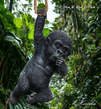 Baby Gorilla Silverback 34cm
