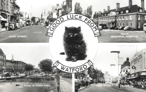 Watford lucky black - cat, &