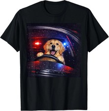 Funny Golden Retriever Driving