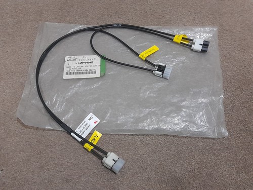 Jaguar fibre optic - optic, link
