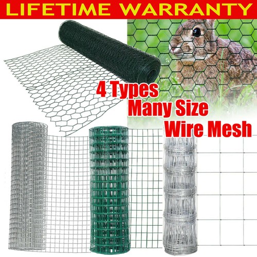 10m 50m welded chicken - chicken, wire