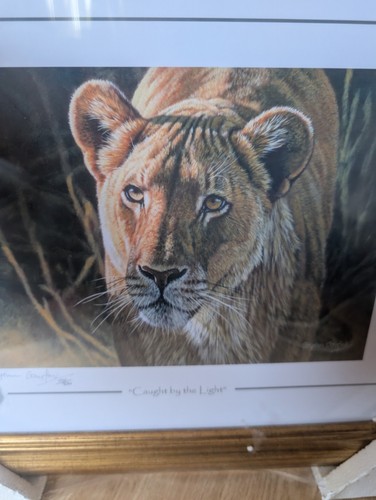 Signed sealed limited print - signed,