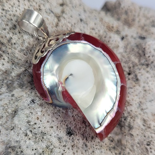 Small red nautilus shell - red,