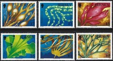 2009 Jersey Sg 1444/1449 Marine Life (7th series) Seaweed MNH